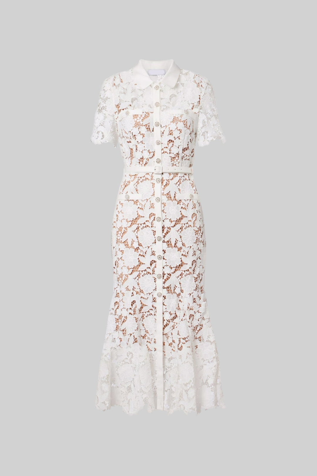 Elizabeth| Collared Neckline Lace, Belted Waist Short Sleeve Midi Dress