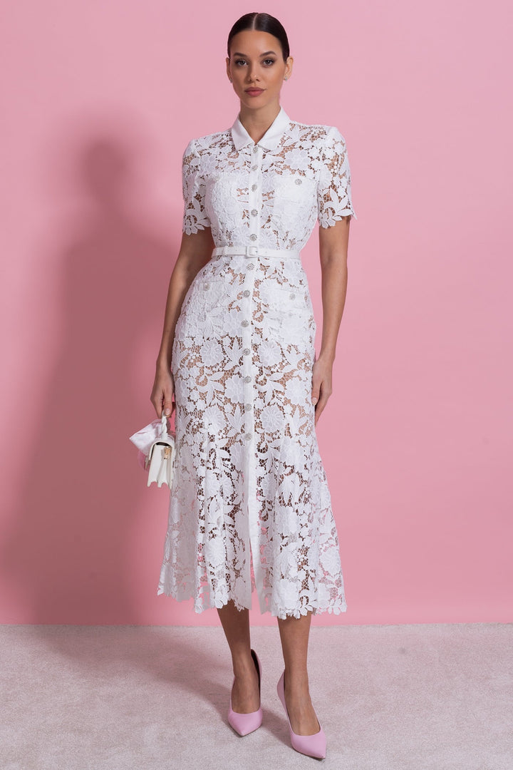 Elizabeth| Collared Neckline Lace, Belted Waist Short Sleeve Midi Dress