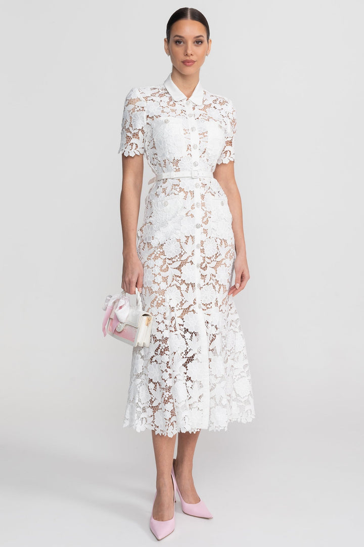 Elizabeth| Collared Neckline Lace, Belted Waist Short Sleeve Midi Dress