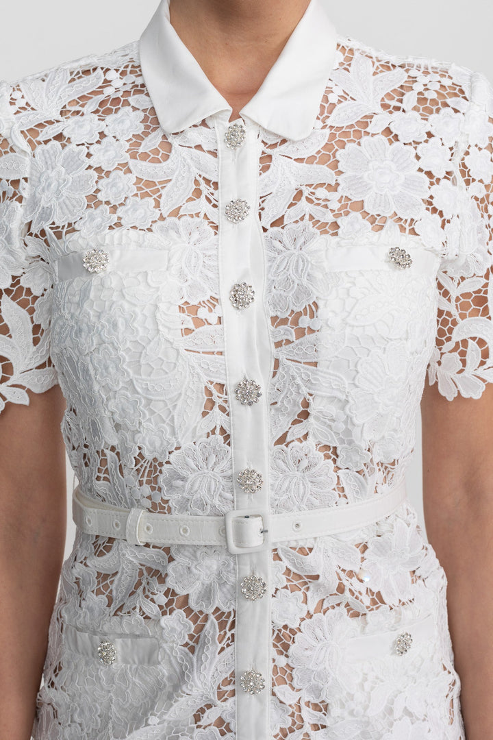 Elizabeth| Collared Neckline Lace, Belted Waist Short Sleeve Midi Dress