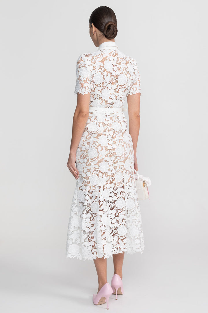 Elizabeth| Collared Neckline Lace, Belted Waist Short Sleeve Midi Dress
